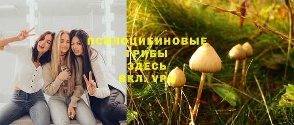 прущая мука Алзамай