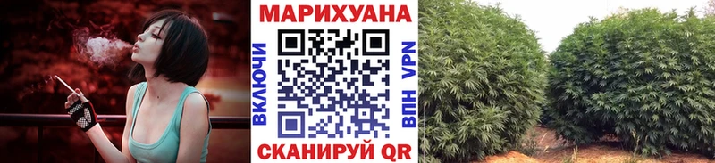 даркнет формула Нелидово Бошки марихуана индика